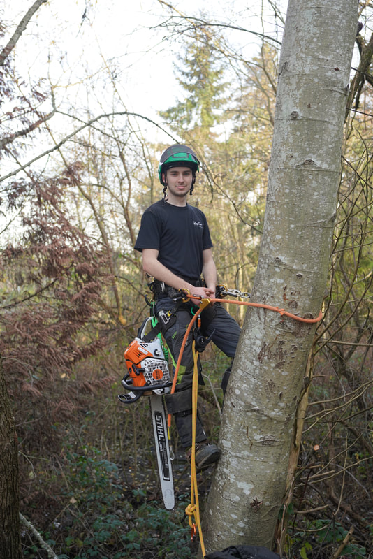 About Marysville Tree Removal LLC